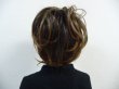 画像3: 【ダンス衣装】ヘアエクステ｜ウィッグ　ふんわりポニーシュシュ【直径約20ｃｍ】 (3)